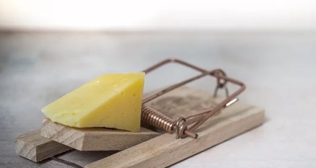 مصيدة فئران 