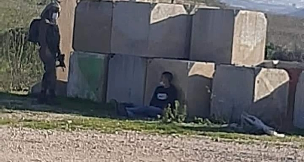 ارشيفية