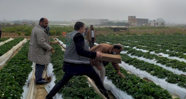 مجلس العمال ينفذ فعالية تطوعية بعنوان " الذهب الأحمر"