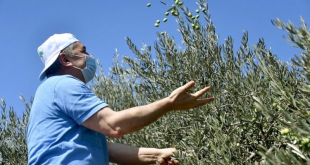 محمد اشتيه رئيس الوزراء الفلسطيني