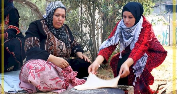 غزة:جانب من فعالية قطف الزيتون بمحافظة غزة